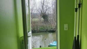 A narrow hallway with green walls, a door leading to a garden with a pond, and a black and white rug on the floor.