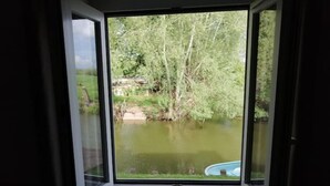 A view from a window with a view of a pond and trees.
