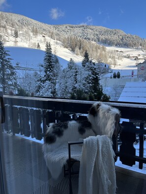 Property grounds - ENZIAN TOP 6 - Apartment in central location (Bach)