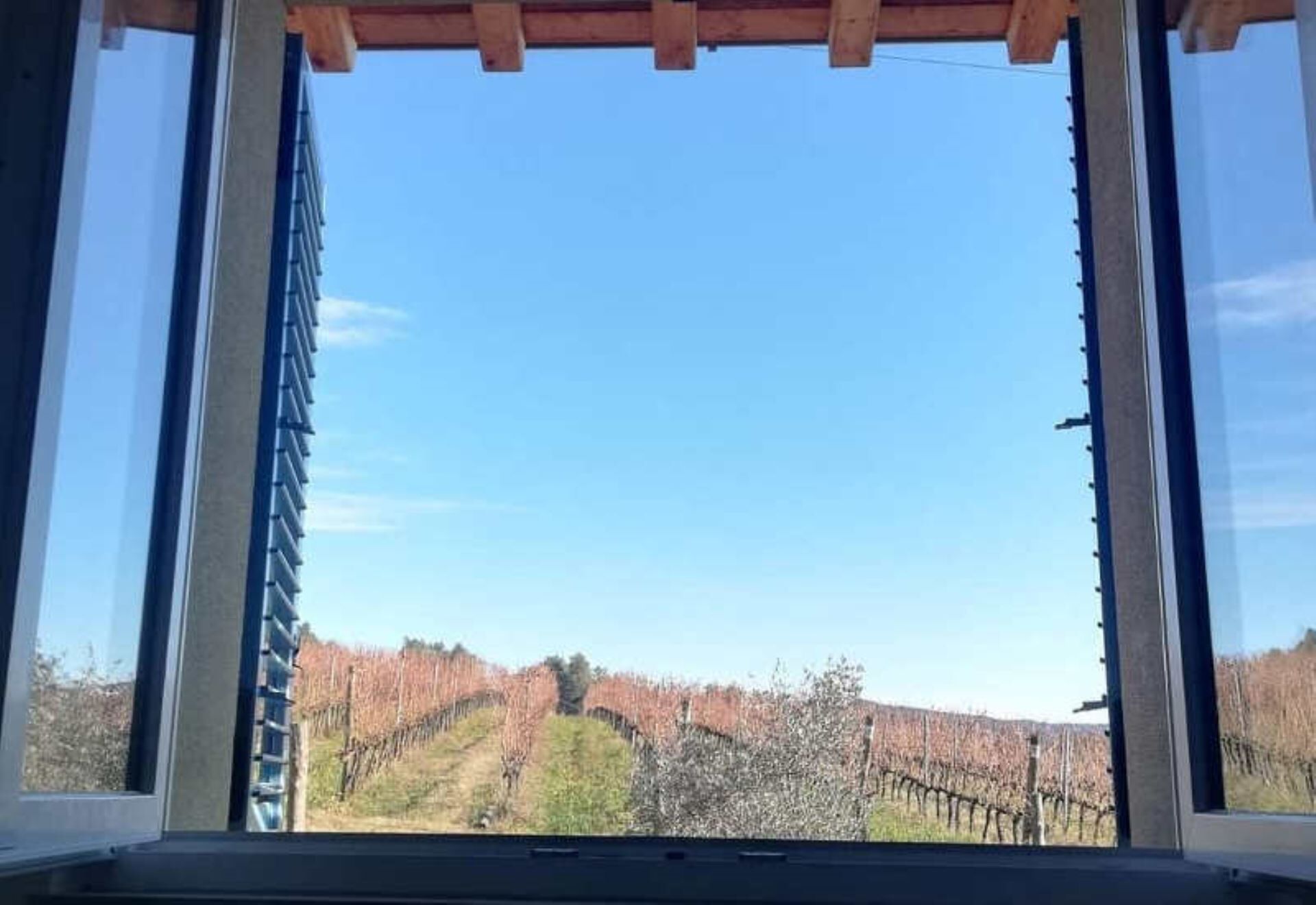 A view through a window with a wooden beam above, looking out at a vineyard under a clear sky.