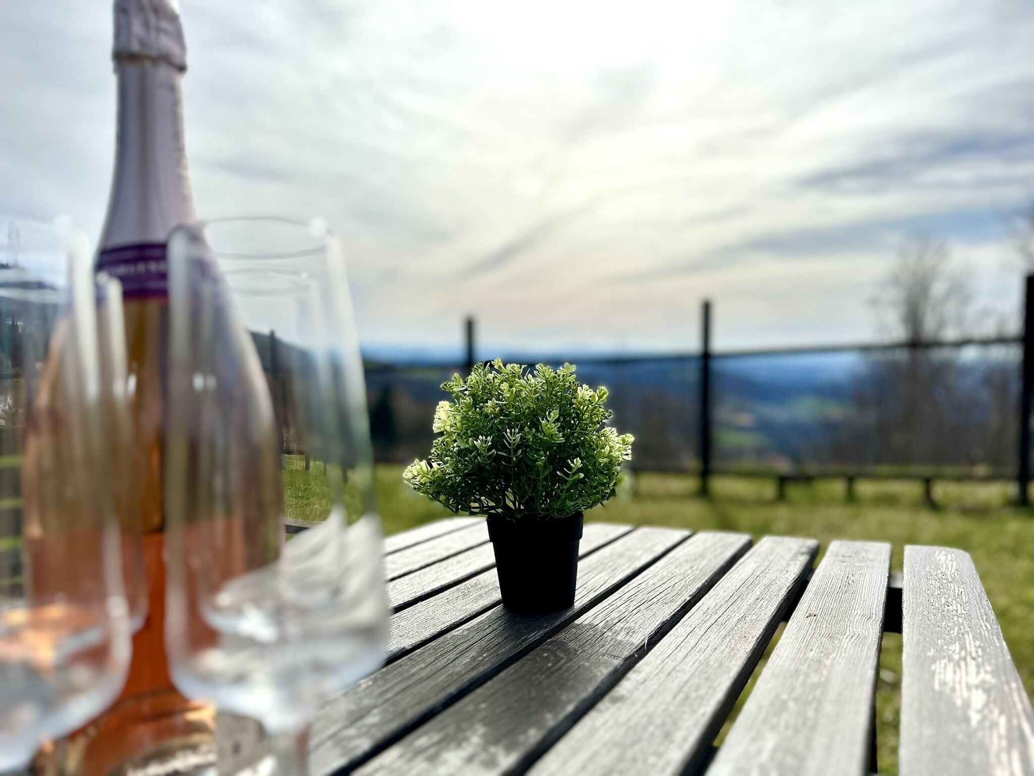 Uma mesa de madeira com uma pequena planta em vaso, uma garrafa de vinho e um copo.