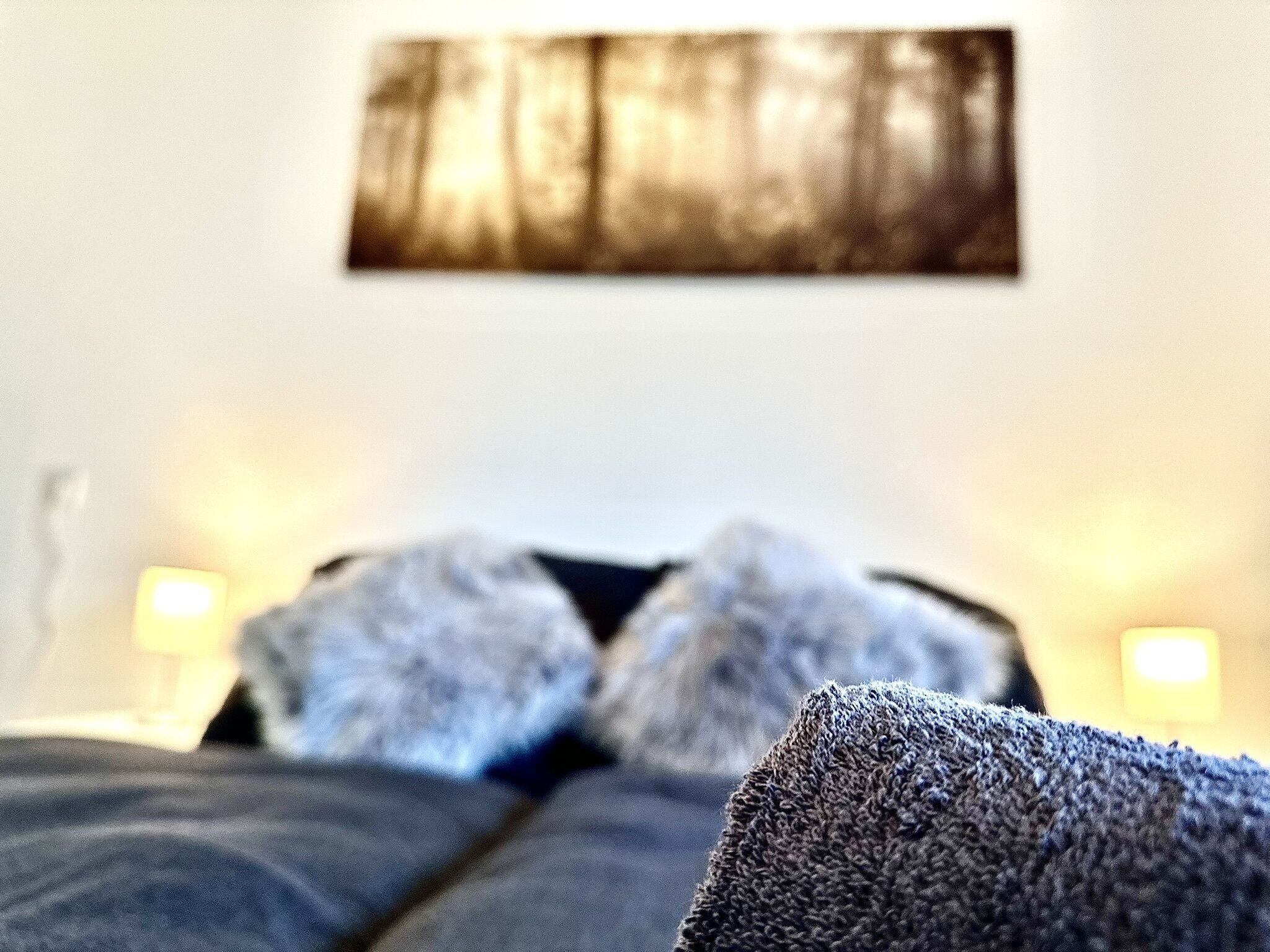 Ein Bett mit dunklem Kopfteil, einem Kopfkissen und einer Decke. Darüber an der Wand hängt ein Gemälde.