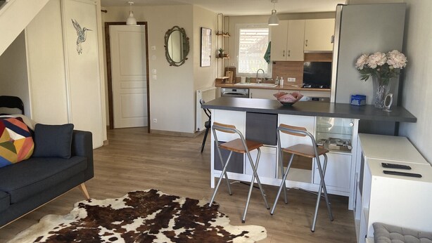 A modern kitchen with a central island, bar stools, and a dining area with a sofa and a cowhide rug.