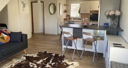 St-Jorioz, appartement au calme, 4pers, terrasse