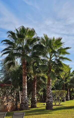 Property grounds - Grande Villa Très Proche Centre Ville, Avec Piscine, Terrain de Boules sur Golf (Marrakech)