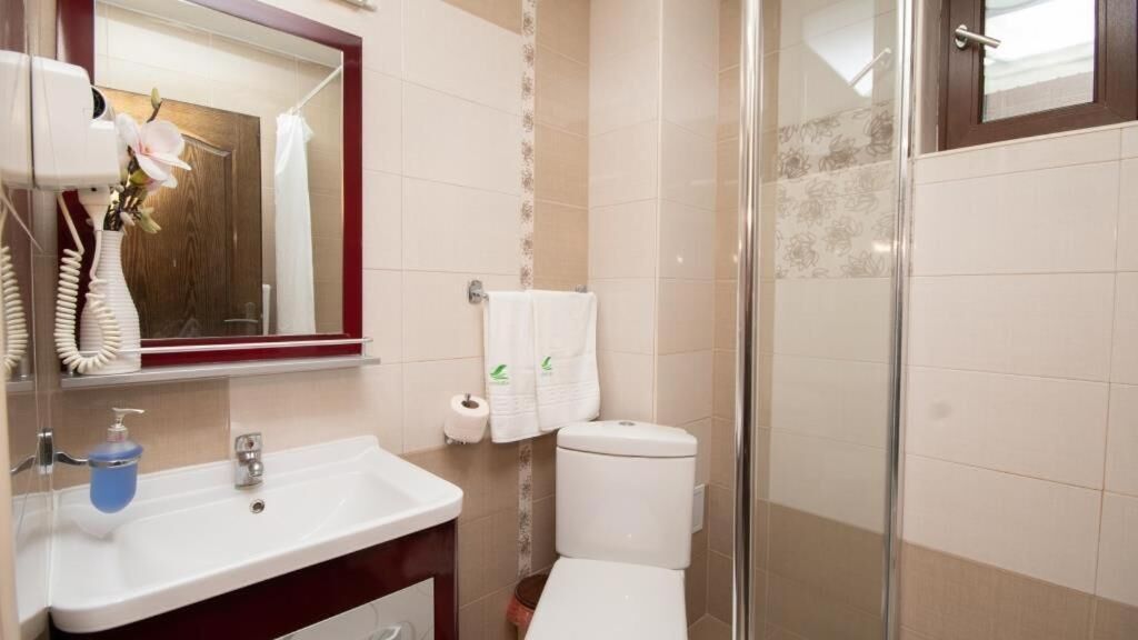 Une salle de bain équipée d’un lavabo, d’un miroir, de toilettes et d’une douche.