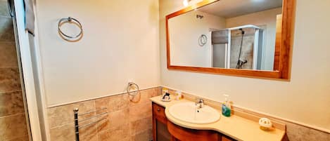 Shower, hair dryer, towels