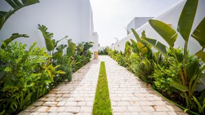 Un sendero pavimentado bordeado por abundante vegetación y edificios blancos.