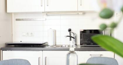 Apartment Wiesbaden Mitte - Zentral am Park. Congresscenter 5 Min, Bahnhof 10min