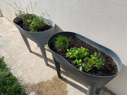 HISTOIRE D'Ô - LES PISCINES