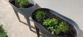 HISTOIRE D'Ô - LES PISCINES