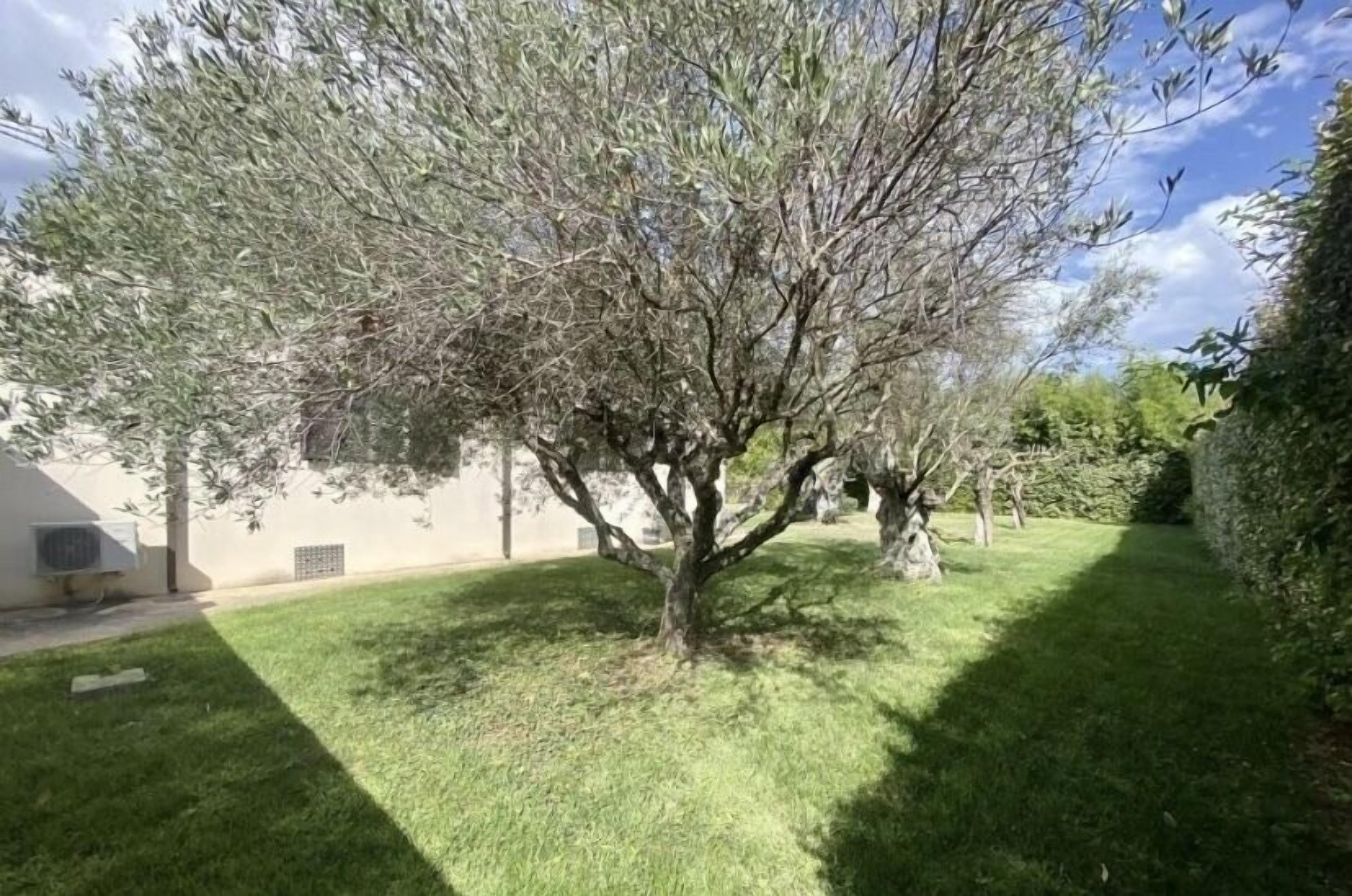 Une cour bordée d’arbres, avec un bâtiment d’un côté.