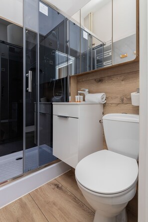 Studio, keuken | Badkamer | Een douche, handdoeken, toiletpapier