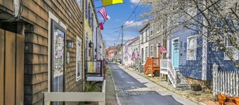 Downtown Pinkney House w/Parking