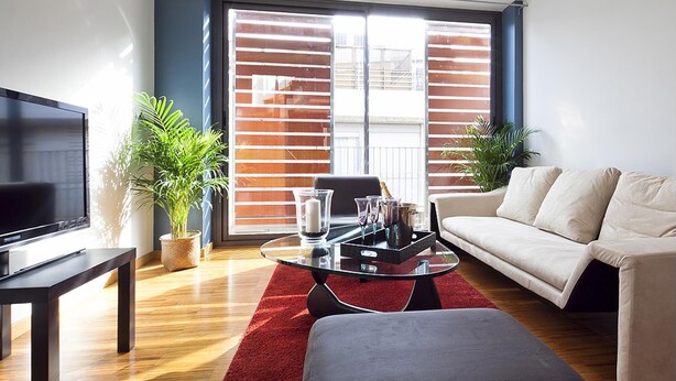 A modern living room with a flat-screen TV, a sofa, a coffee table, and two potted plants.