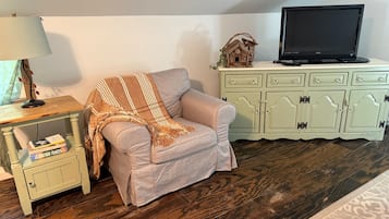 Smart TV, DVD player, books, video library