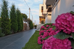 Exterior - studios Chrysalis (Volvi)