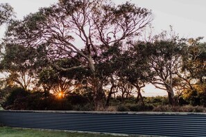 A tree-lined area with a metal fence in the foreground. - Beach Haven Scamander, Beach Views, Unlimited Wifi (Scamander)
