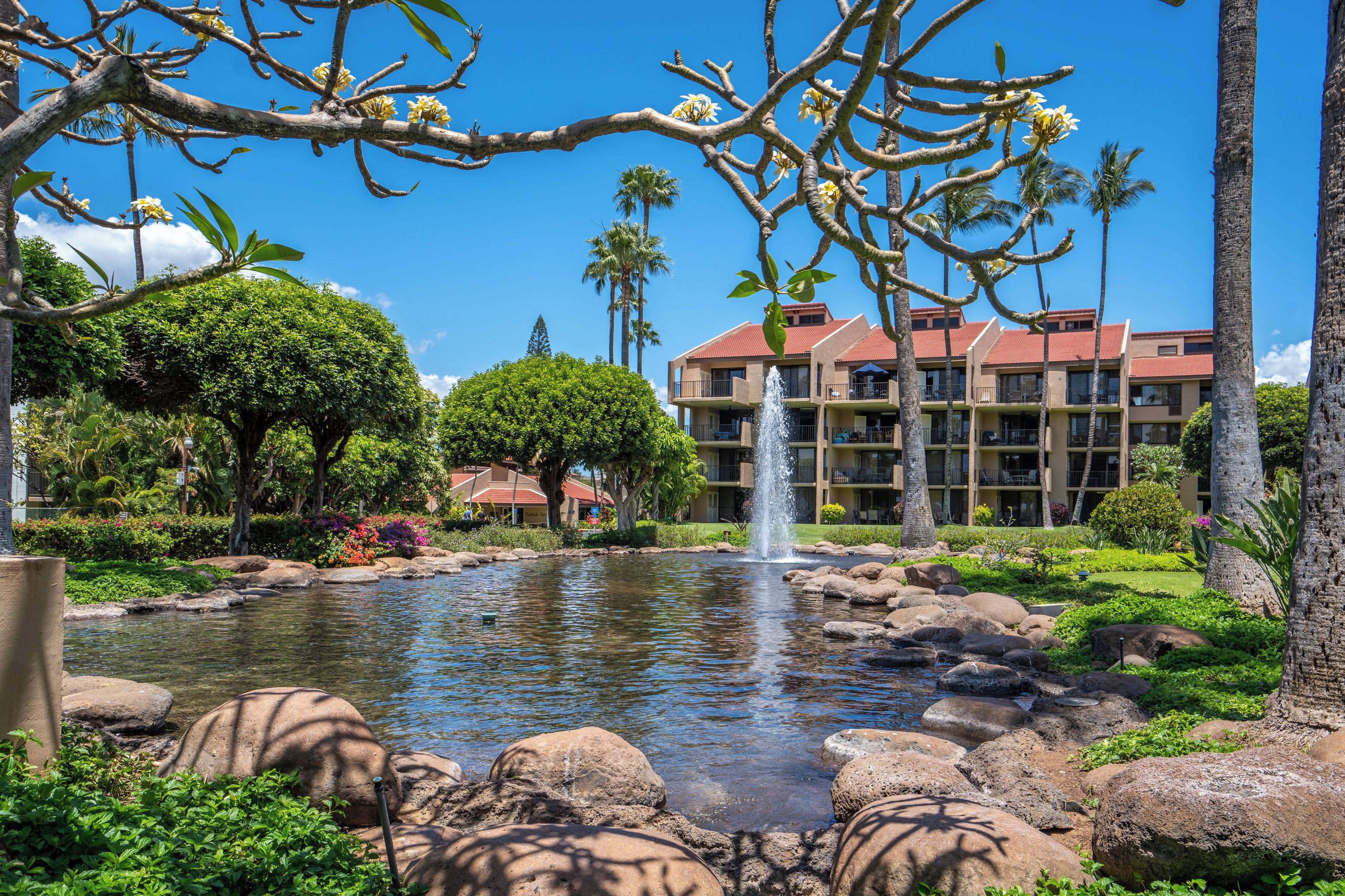 Ein Resort mit Teich, Palmen und einem Gebäude mit Balkonen.