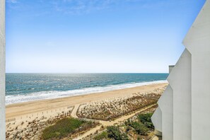 Une vue sur la plage, avec un ciel dégagé, une plage de sable et une zone délimitée par une clôture, où l’on trouve de la végétation.