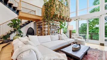Smart TV, fireplace, table tennis, books