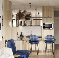 Suite junior | Cocina privada | Frigorífico, microondas, horno y placa de cocina