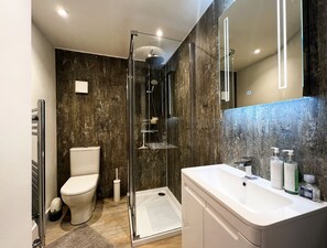 Shower, hair dryer, towels