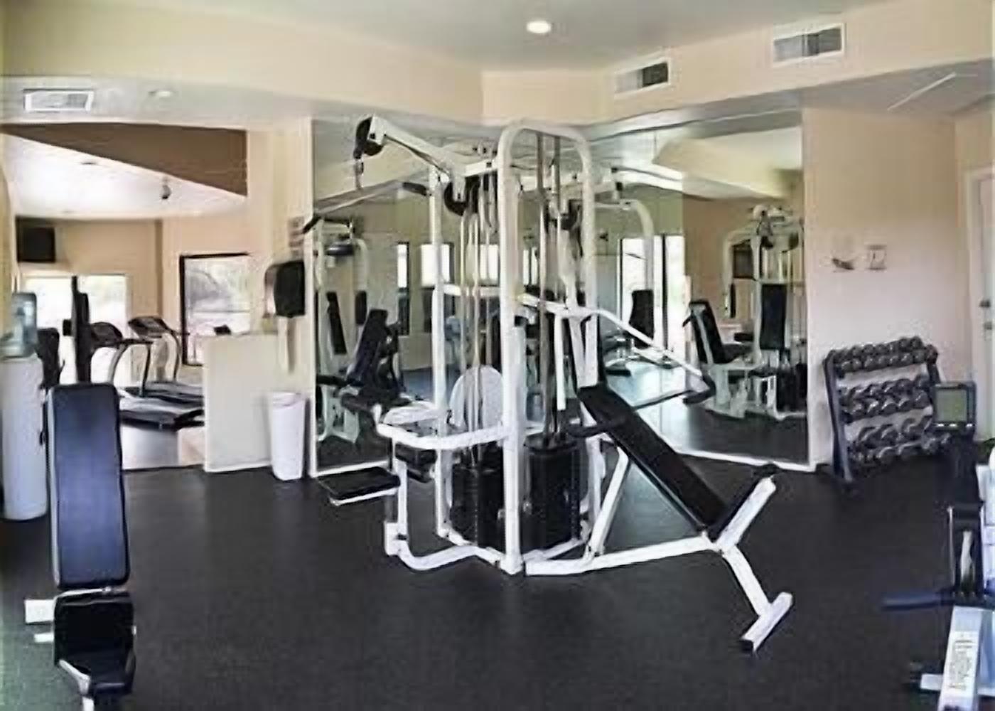 Ein Fitnessstudio mit verschiedenen Trainingsgeräten, darunter ein Squat-Gestell, Bänke und Kurzhanteln.