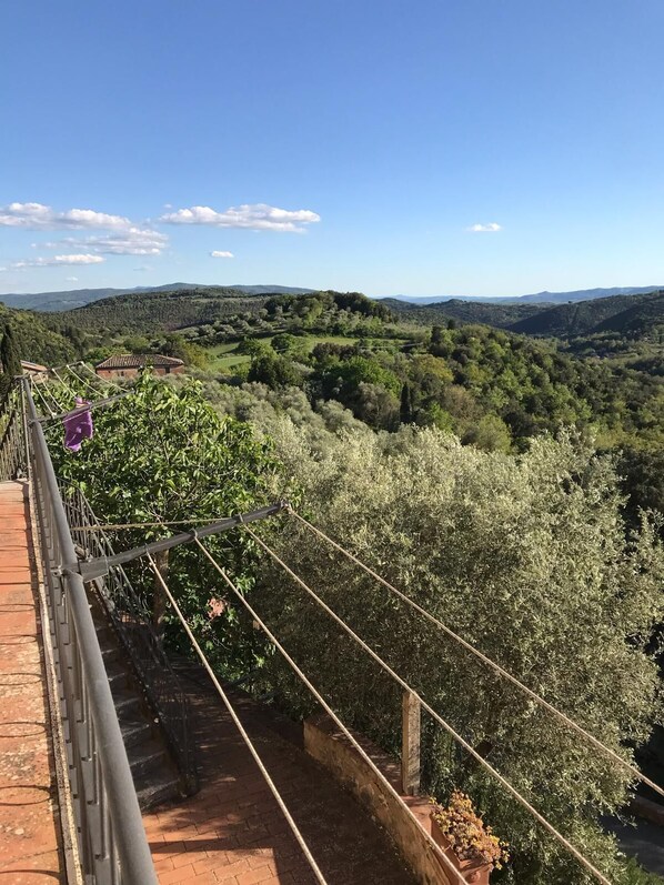 A rustic wooden bridge with a metal railing, leading to a terraced vineyard with rows of grapevines.