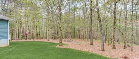 A backyard with a lawn, a small shed, and a dense forest in the background.