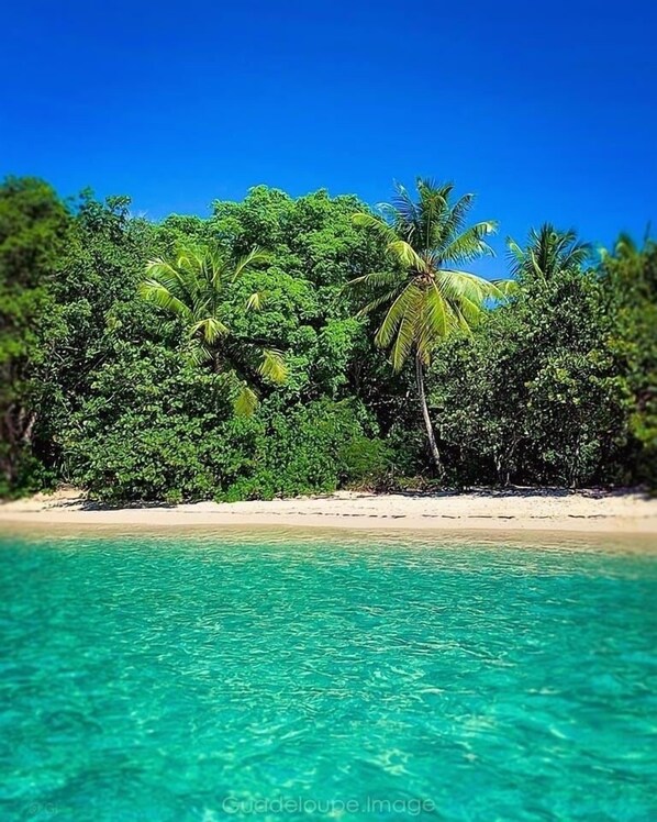 Sun-loungers, beach towels - One Bedroom Gites for 2 People With Separate Toilet (Sainte-Anne)