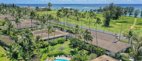 A resort with a pool, palm trees, and a view of the ocean.