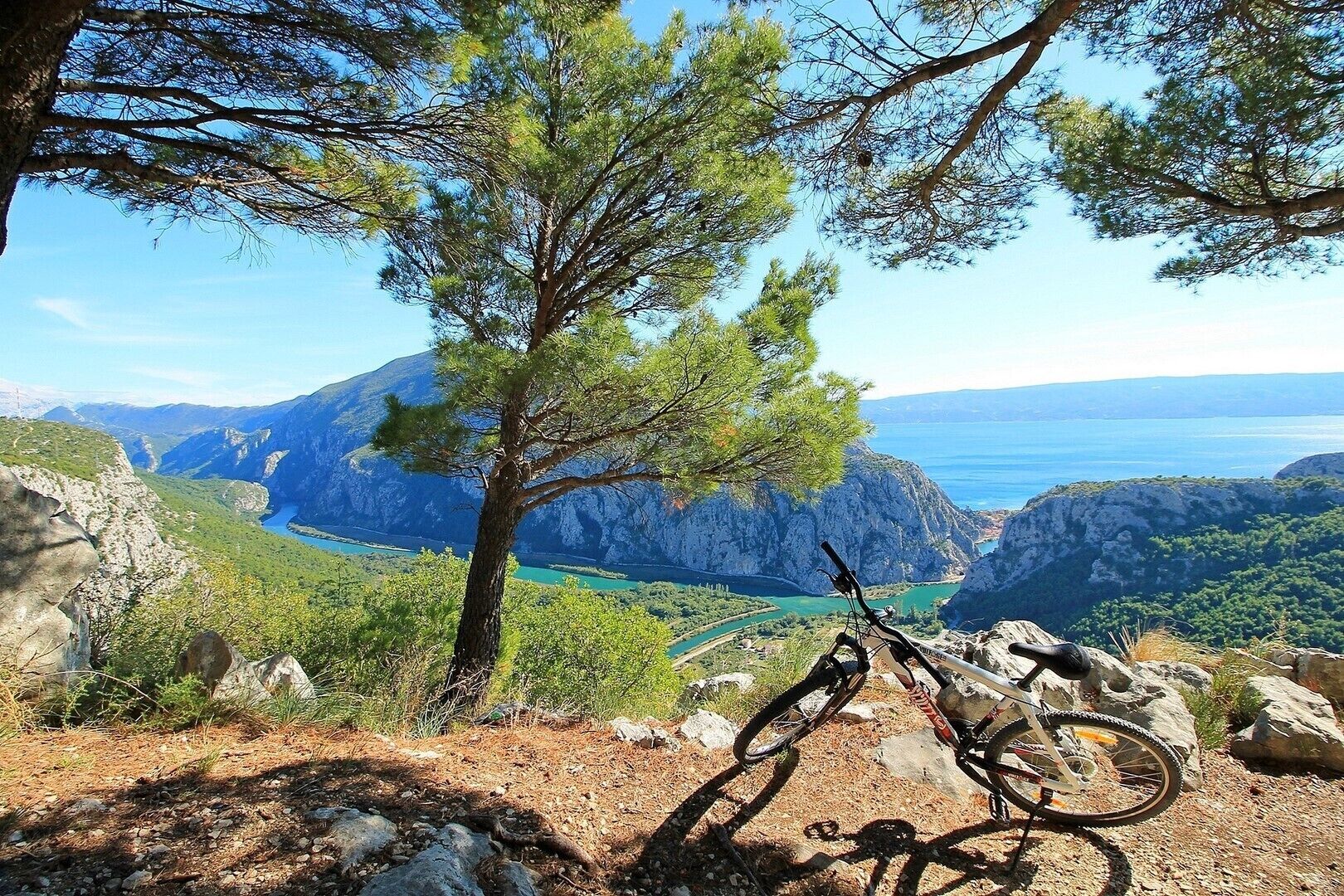 View point of natural park
