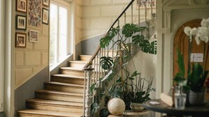 Una scala con ringhiera, circondata da piante in vaso e quadri appesi alle pareti.