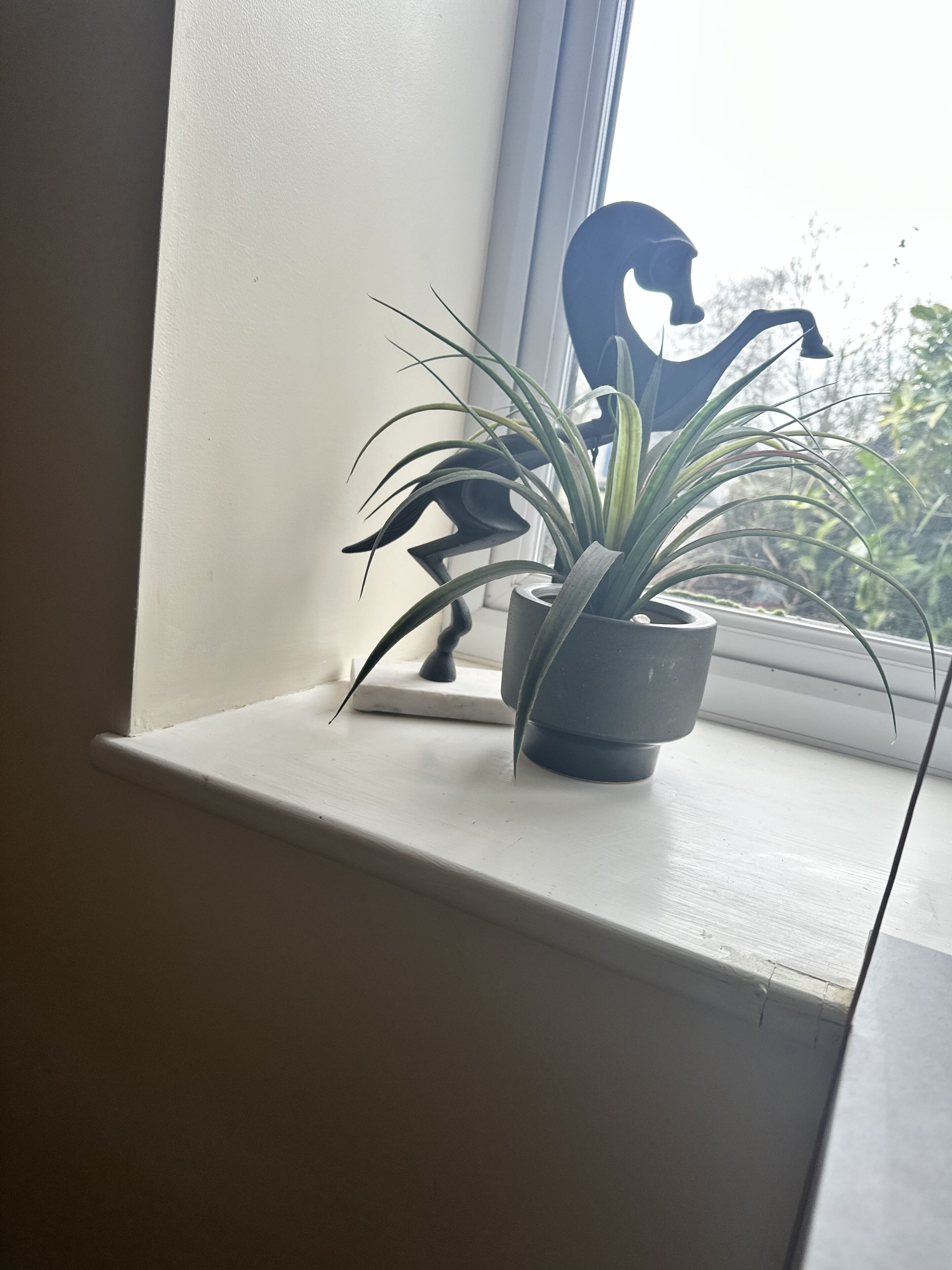 Una planta en maceta sobre un alféizar, con un adorno en silueta.