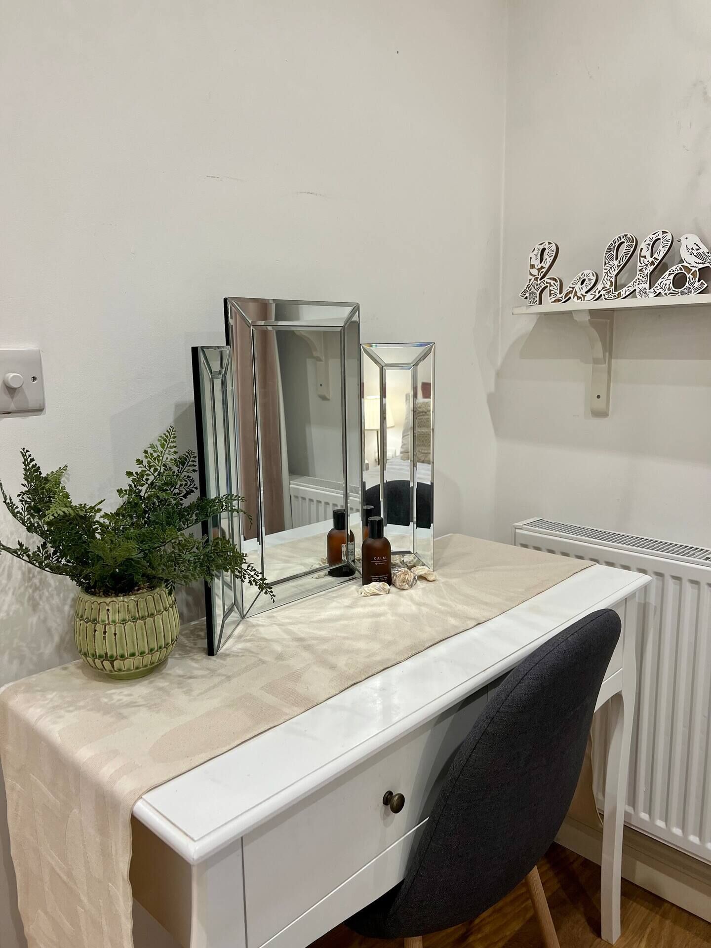 A bathroom vanity with a mirror, a potted plant, and toiletries.