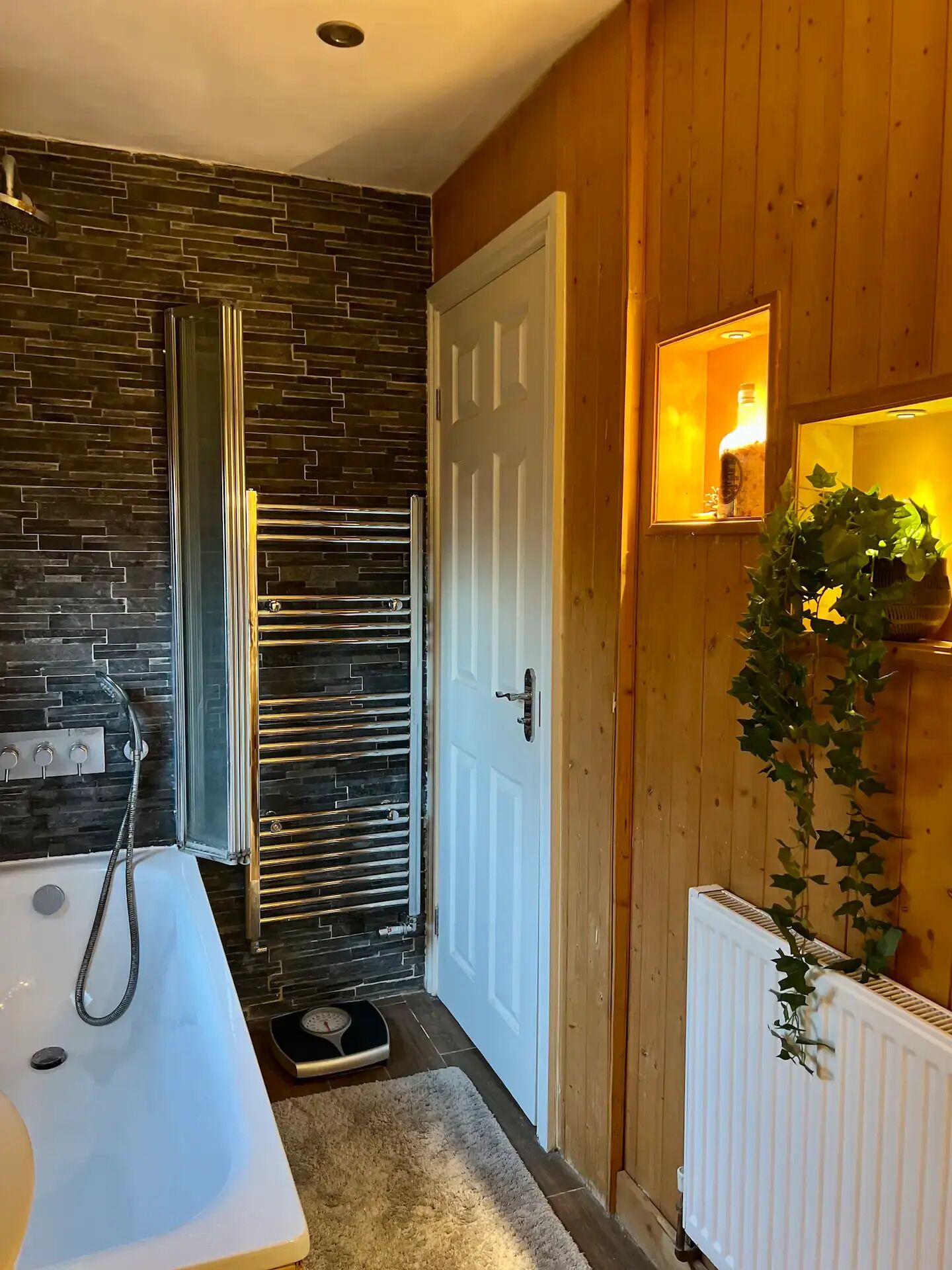 Een badkamer met een stenen muur, een witte deur, een radiator en een plant.