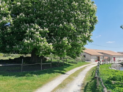 Gîte à la Campagne, 3km de Parthenay. Idéal Pour Séjours en Famille Entre Amis