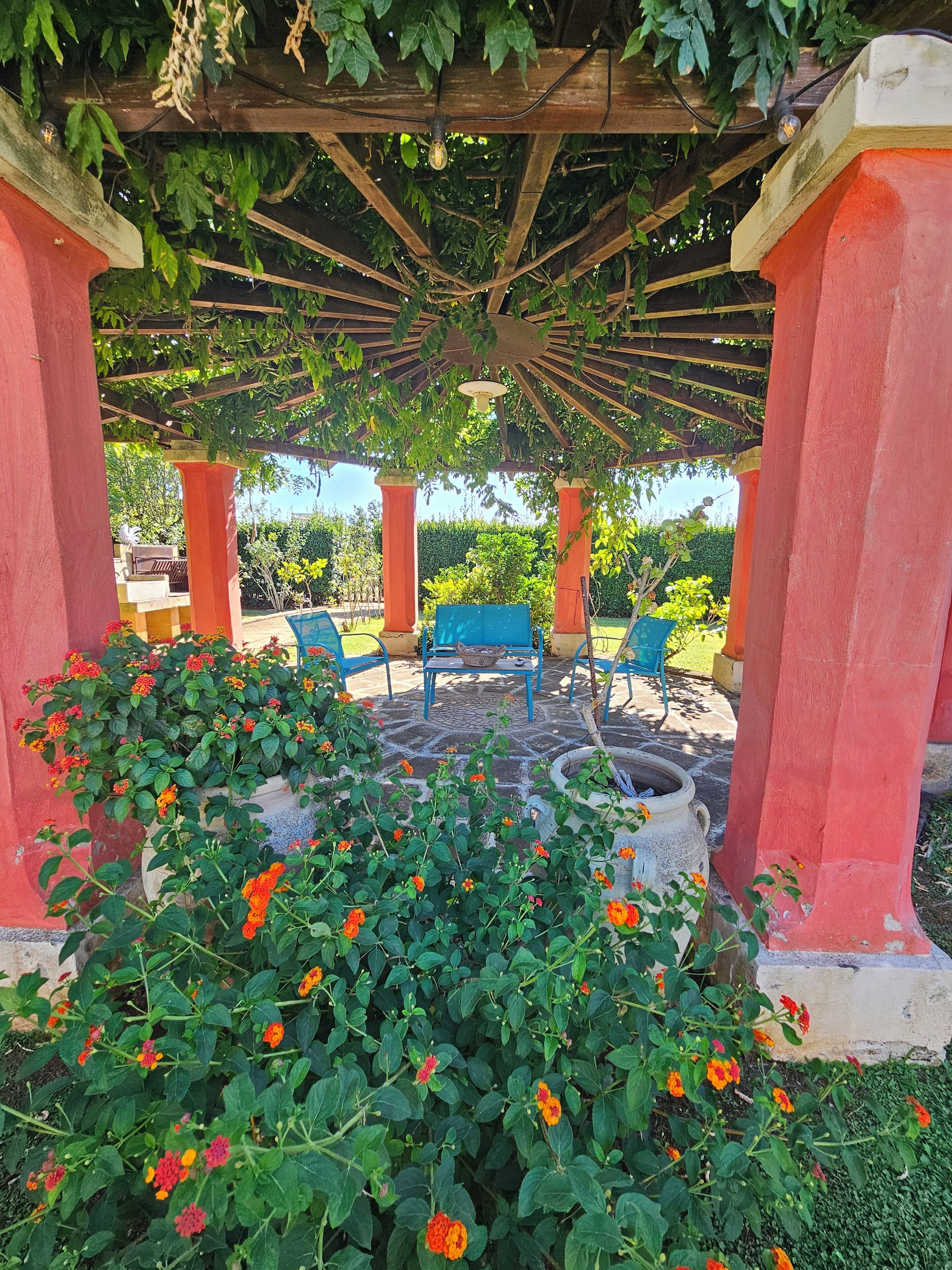 A covered outdoor seating area with a pergola, potted plants, and a bench.
