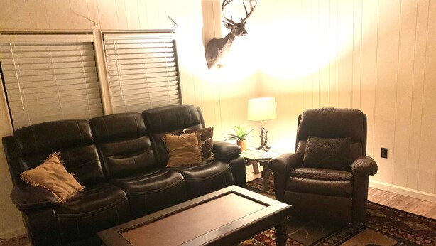 A living room with a leather sofa, a leather armchair, a coffee table, a patterned rug, and a mounted deer head on the wall.