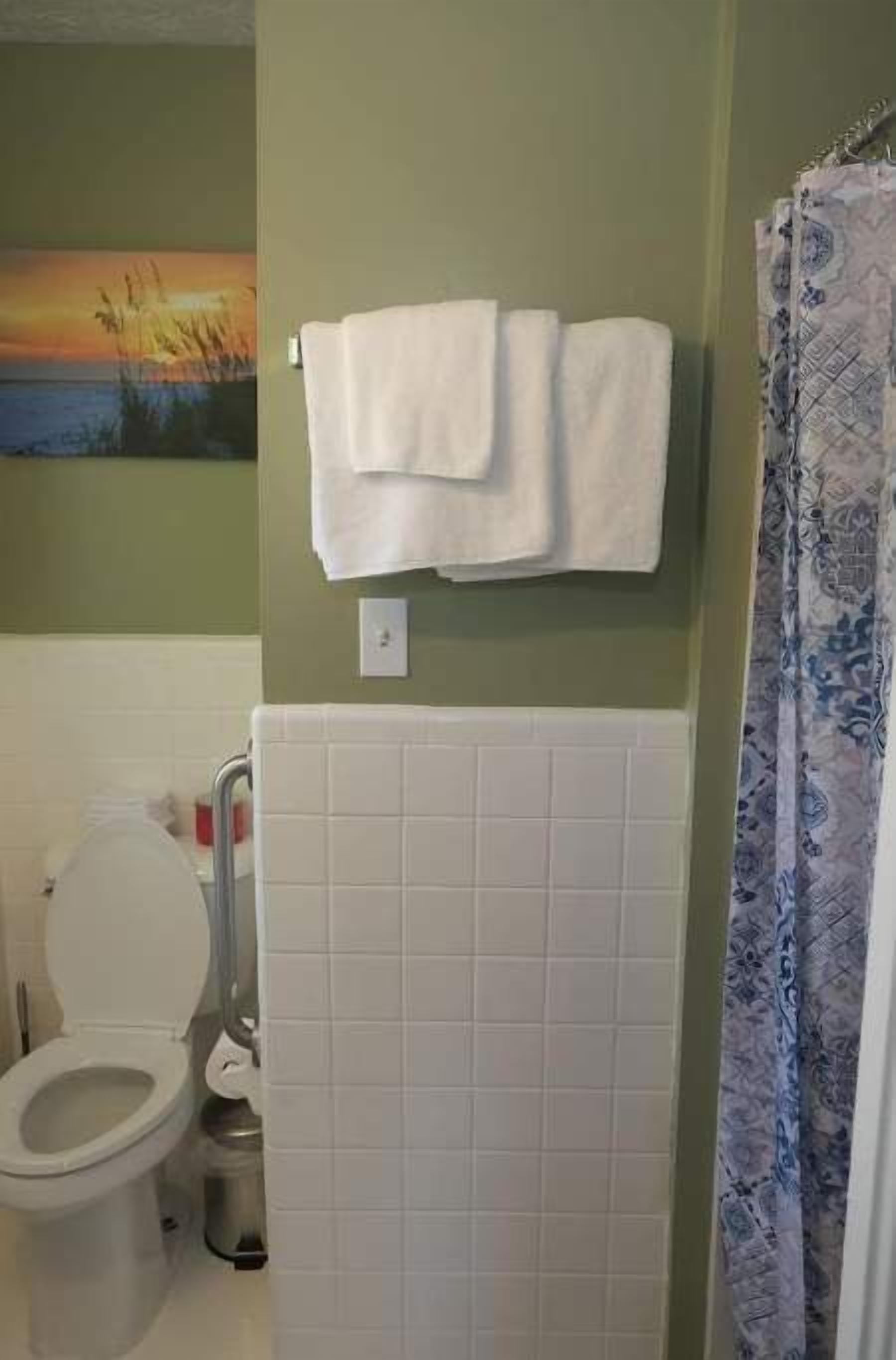 A bathroom with a toilet, a sink, and a shower curtain.
