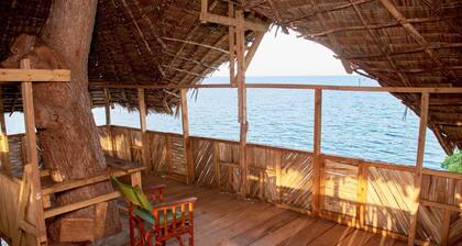 Three Bedroom Beachfront Villa with Swimming pool and Kitchen