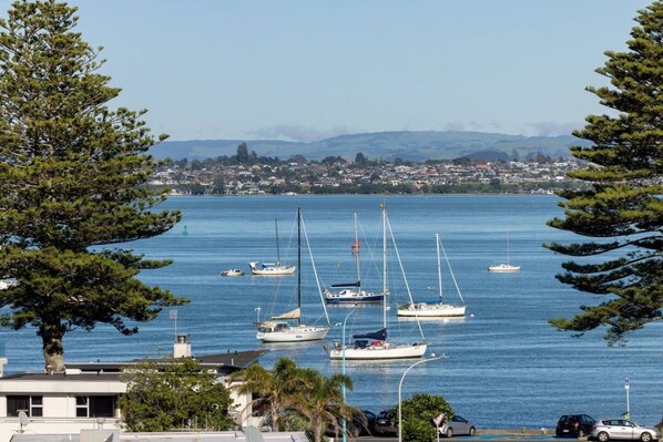 A coastal view with multiple sailboats anchored in calm waters, a distant town, and a clear sky.