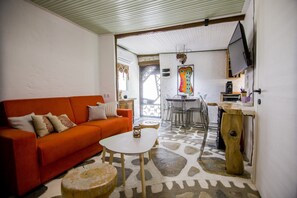 Fernseher, Arbeitsbereiche