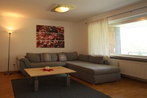 Älytelevisio, DVD-soitin, stereot