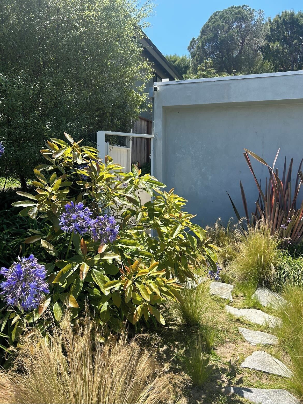 Private Casita w/ Garden ~Walk to Beach & Trails