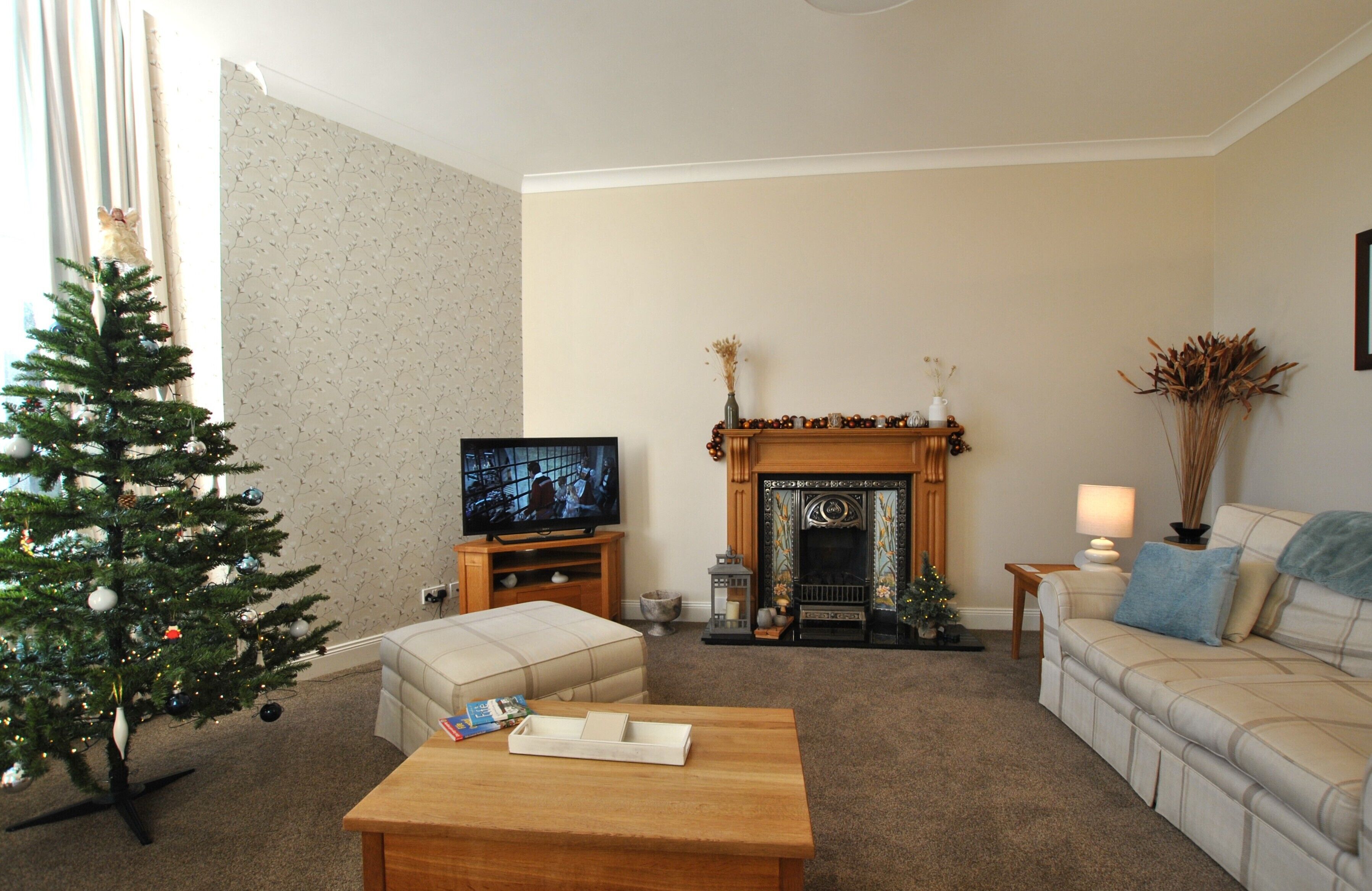 A living room with a Christmas tree, a fireplace, a television, and a sofa.