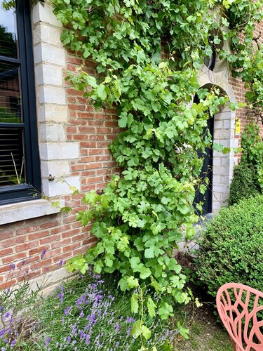 Villa with lovely garden and swimming pool. In the green Belt around Brussels.