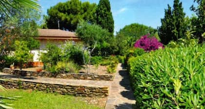Finca Sanna