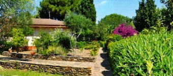 Finca Sanna